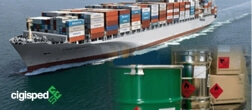 Shipment of dangerous good by sea - survey report